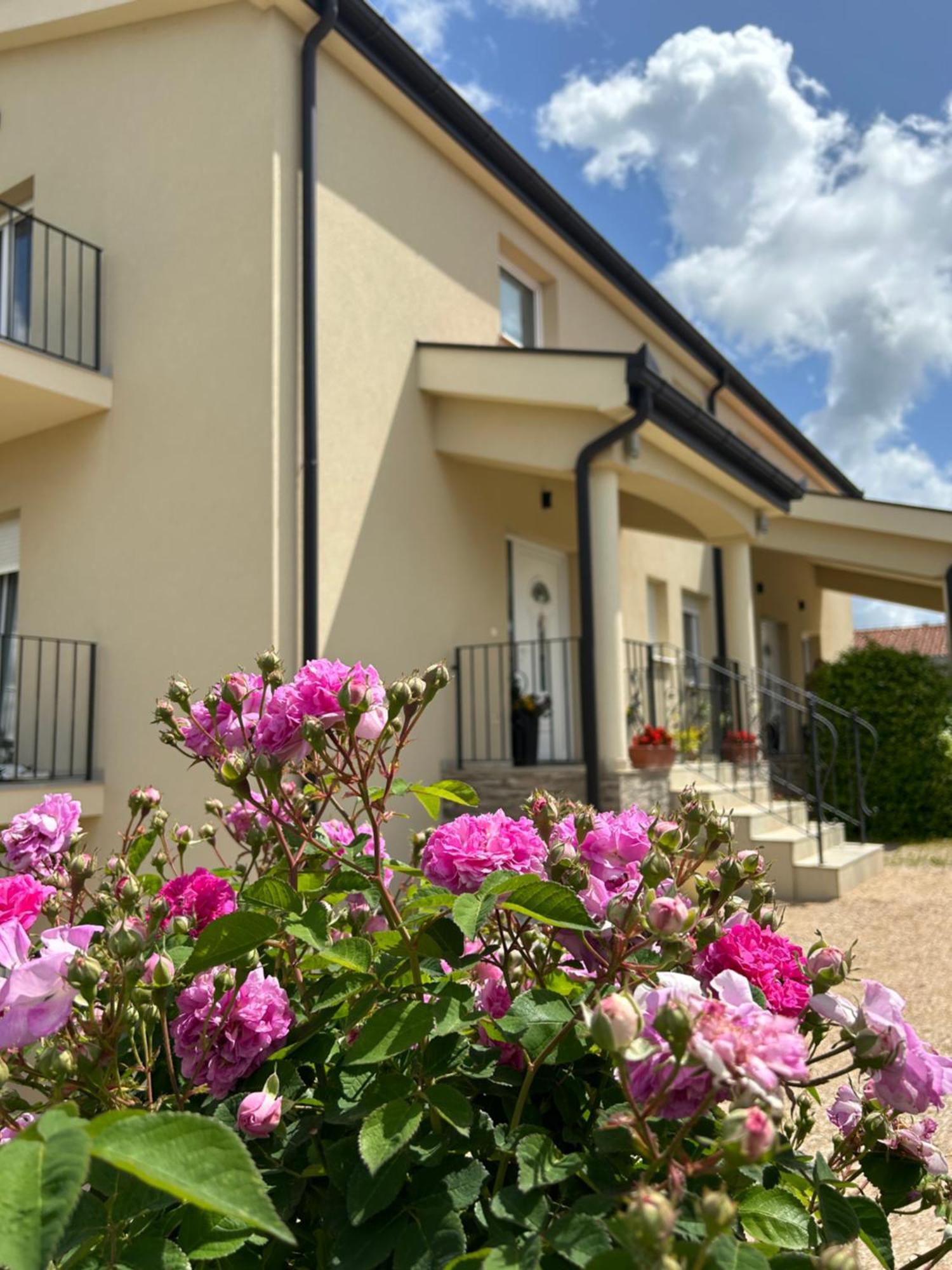 Apartman Marija Medugorje Bagian luar foto